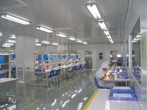 食品廠凈化工程 潔凈室核心凈化原理與設(shè)計(jì)要點(diǎn)解析